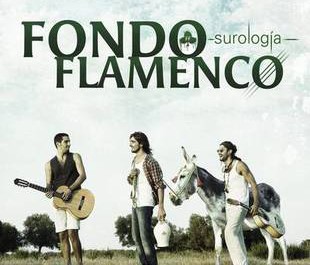 ff surologia 310