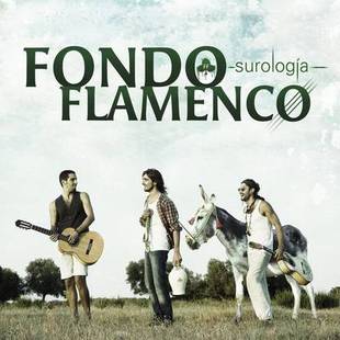 ff surologia 310