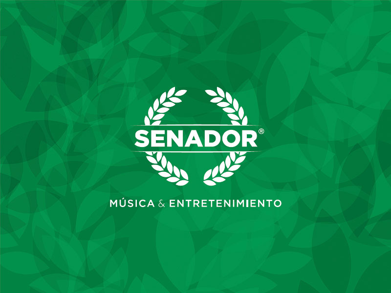 Senador Música en concierto